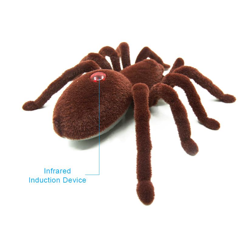 Remote Control Spider