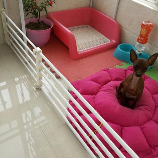 Retractable Baby and Pet Safety Gate