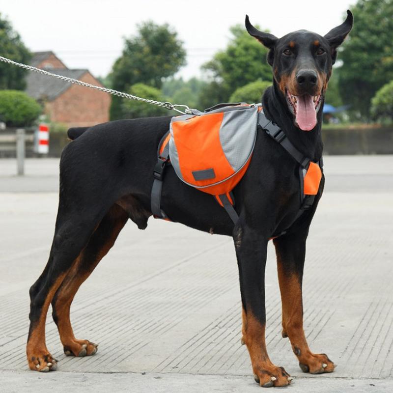 Dog Backpack Harness