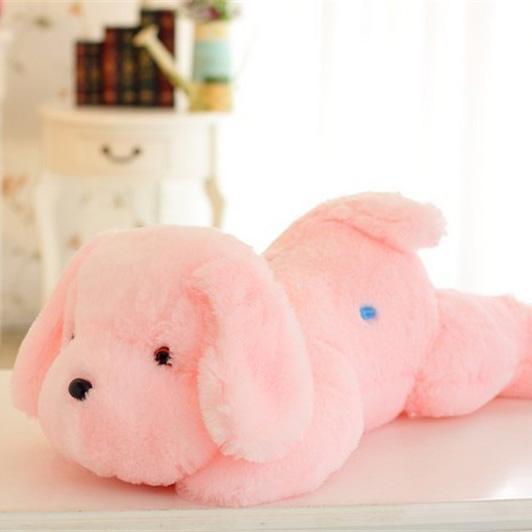 Cute Luminous Puppy