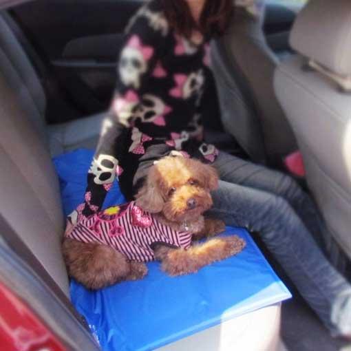 Pet Cooling Mat