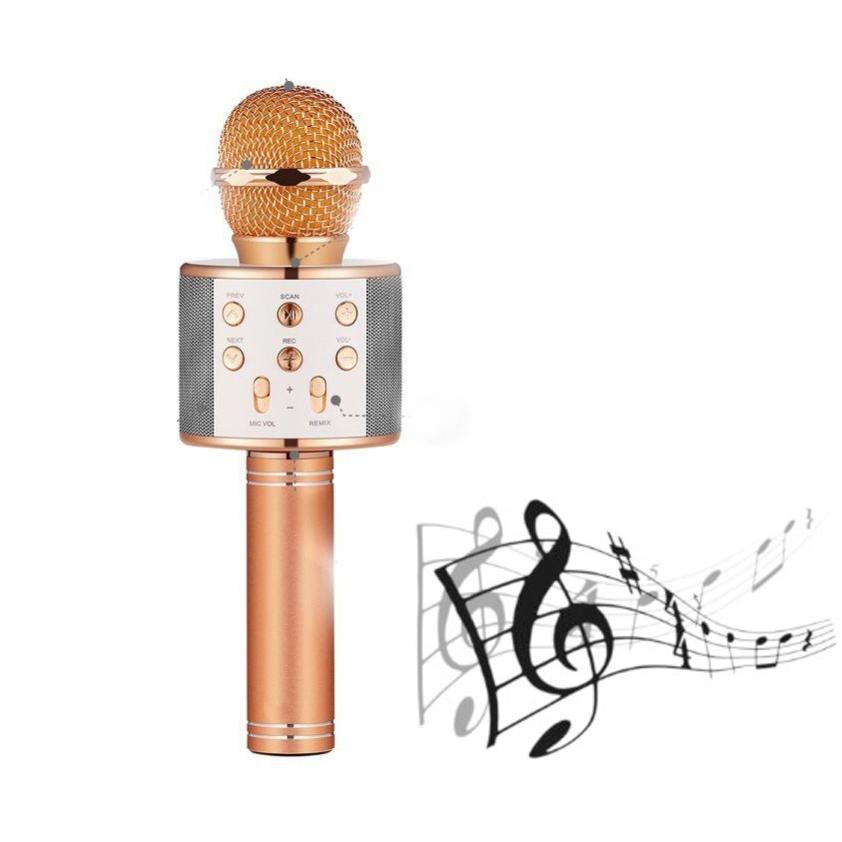 Handheld Karaoke Microphone