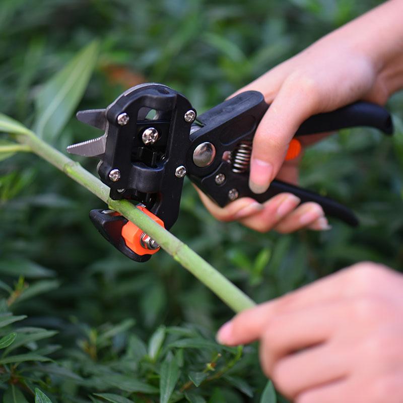 Grafting Cutting Tool