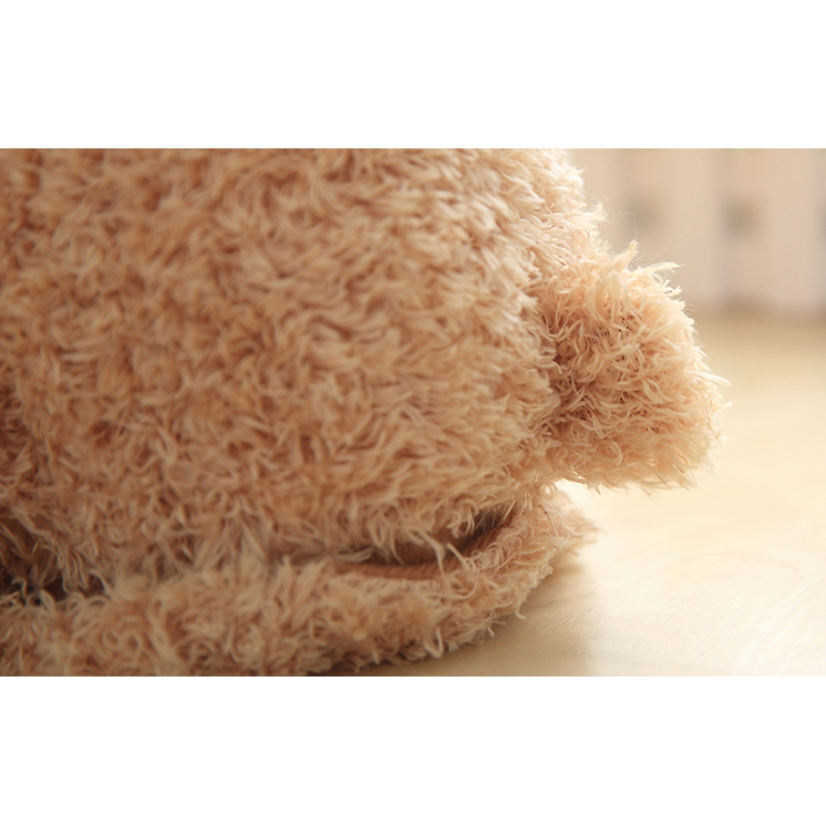 Peek A Boo Teddy Bear