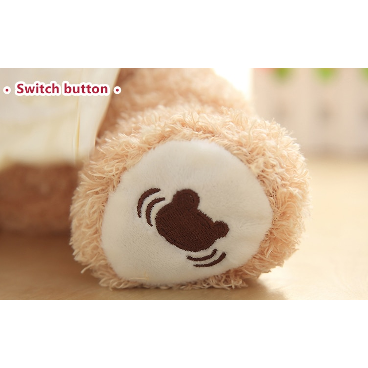 Peek A Boo Teddy Bear