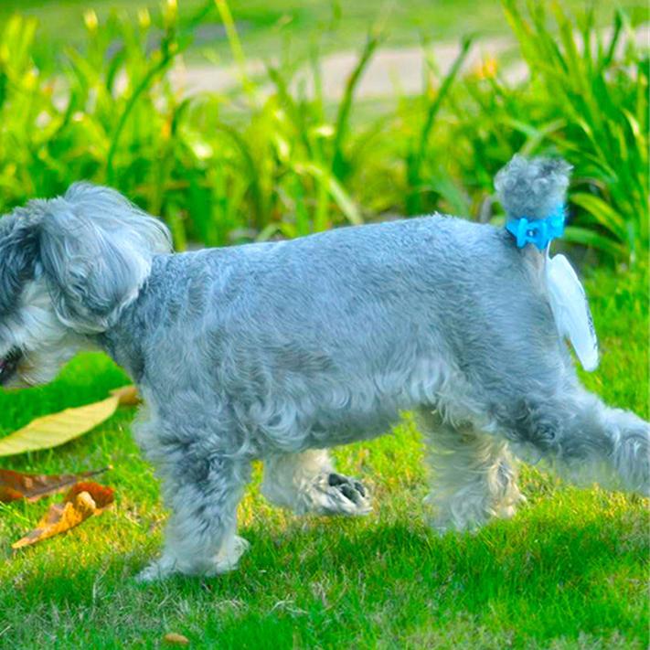 Automatic Dog Poop Collector