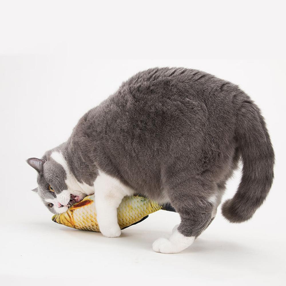 3D Fish Shape Cat Toy