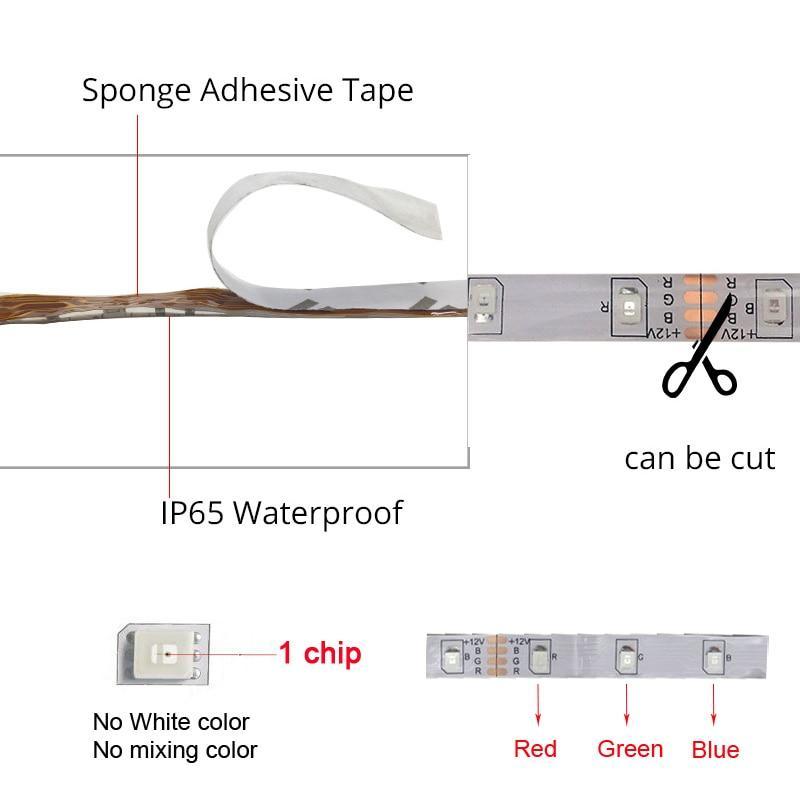 Fluorescent Home LED Lights