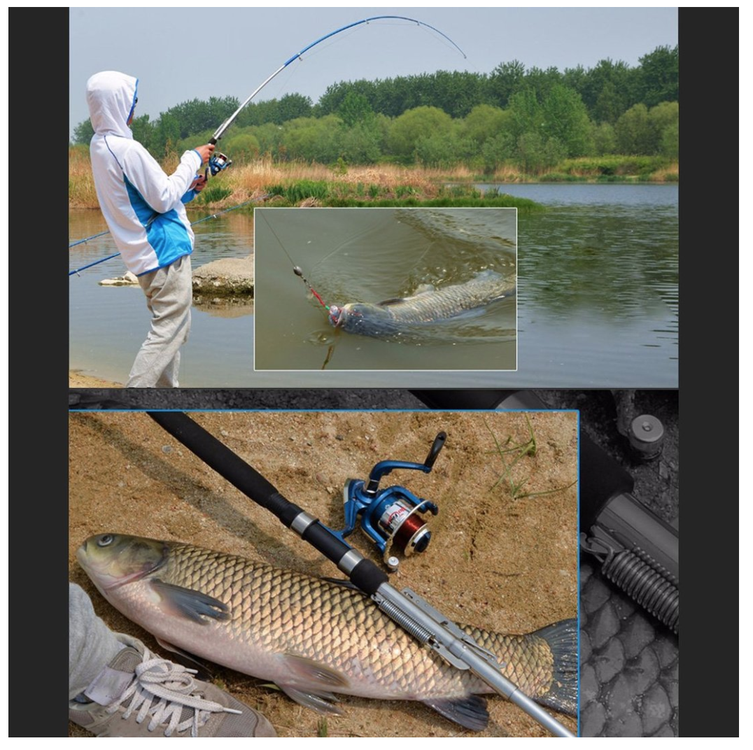 Automatic Fishing Rod