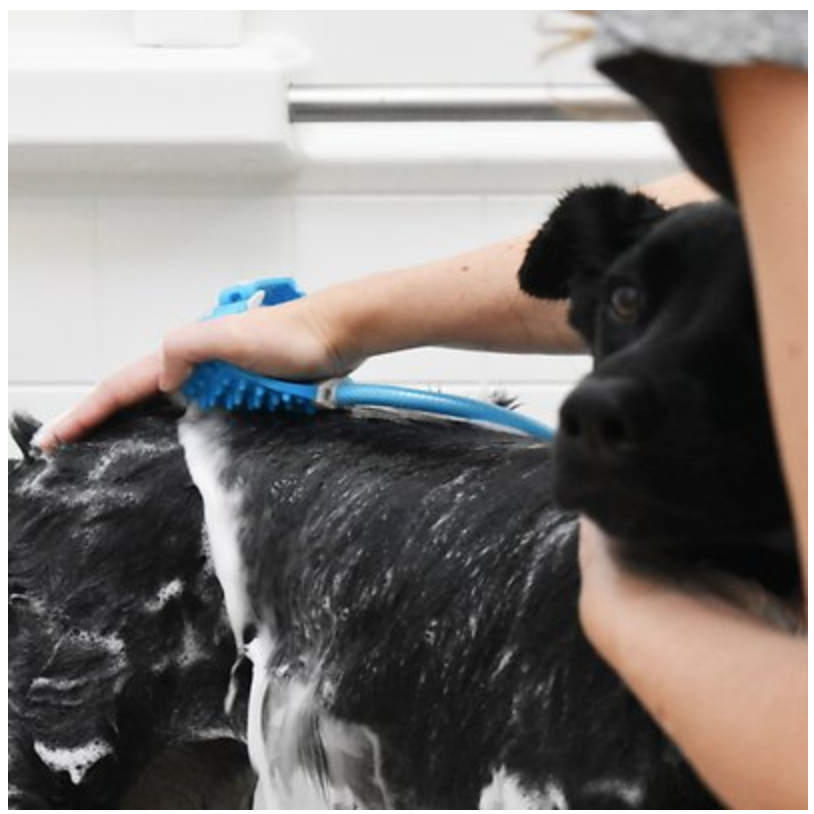 Aquapaw Pet Bathing Tool