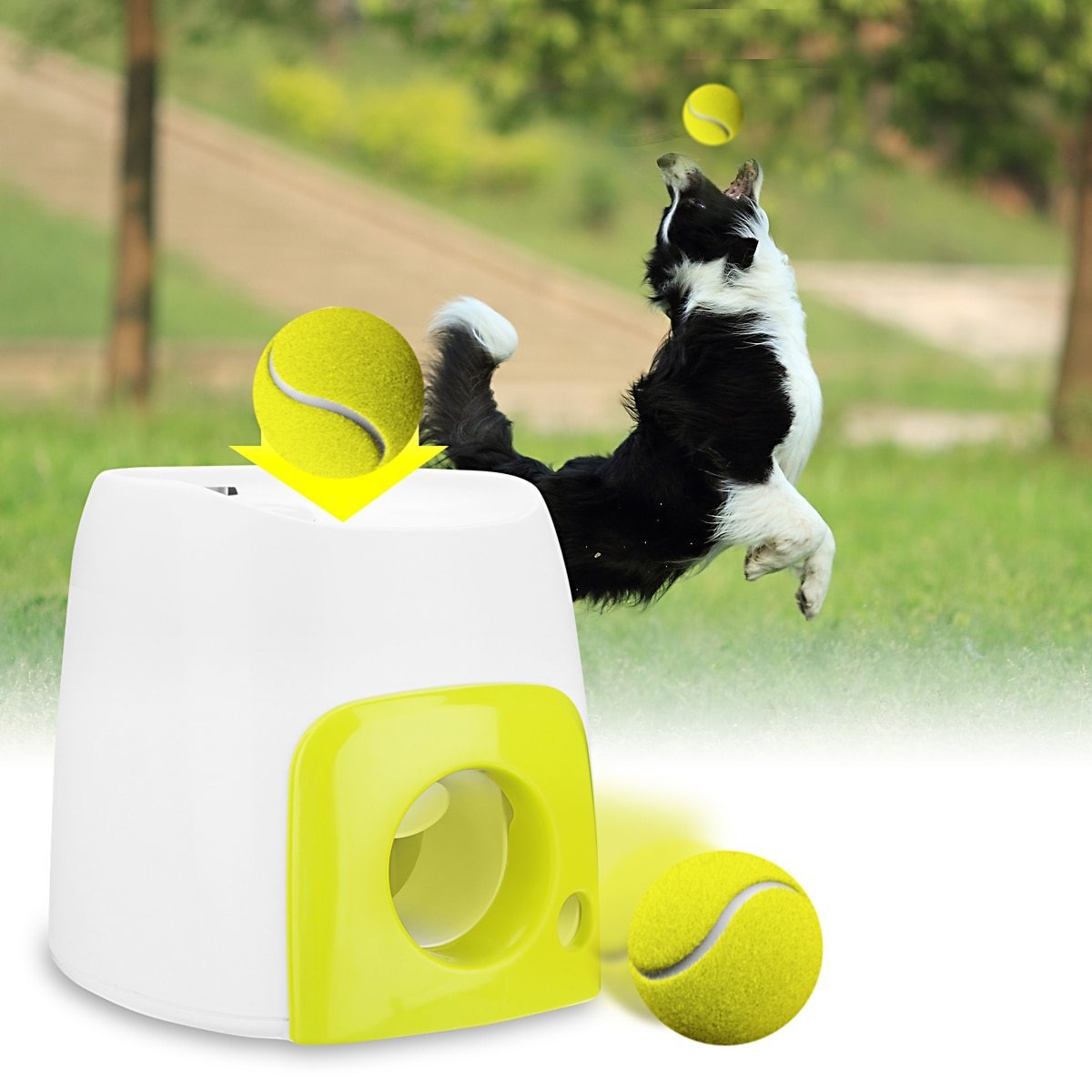 Automatic Dog Treat Dispenser