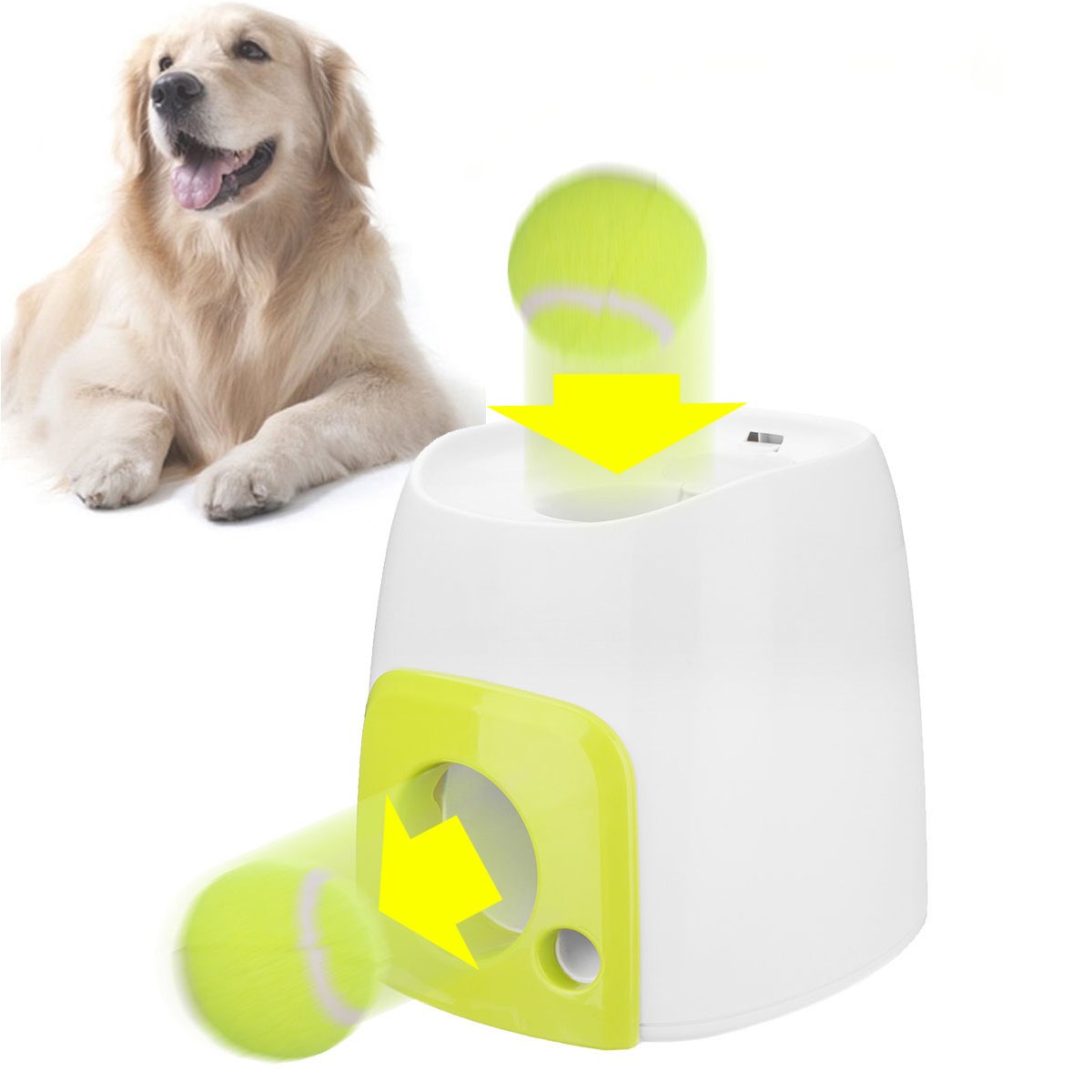 Automatic Dog Treat Dispenser