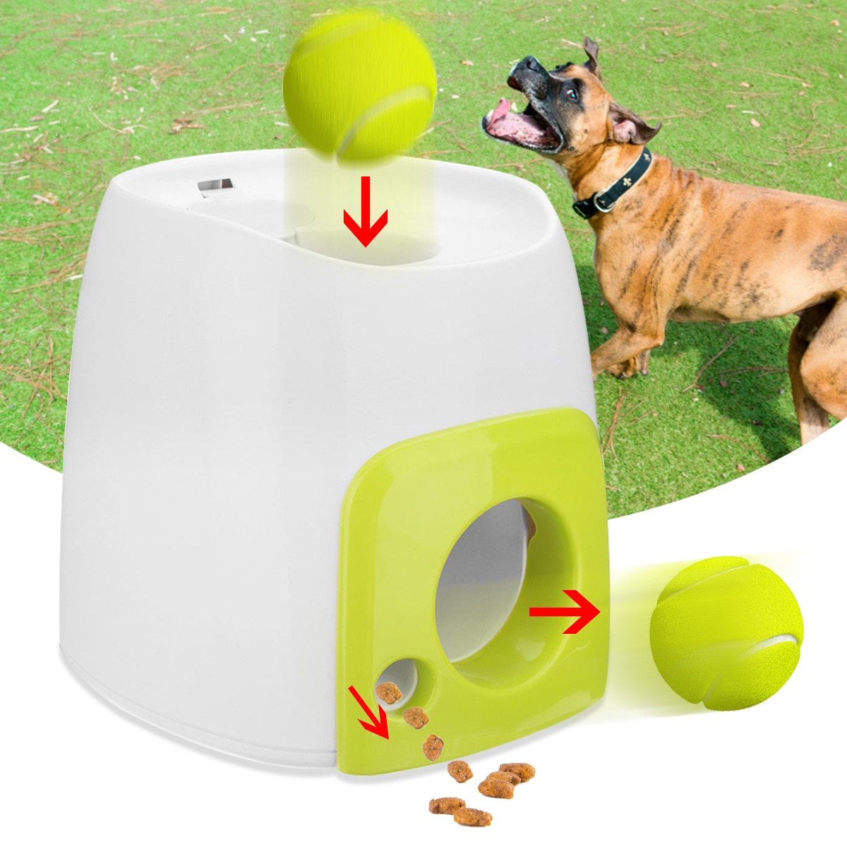 Automatic Dog Treat Dispenser