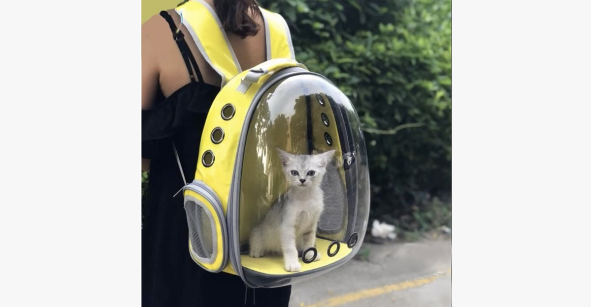 Bubble Pet Carrier Travel Backpack