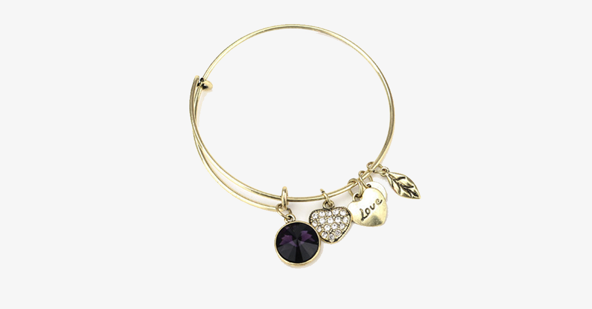 February Birthstone Charm Bangle
