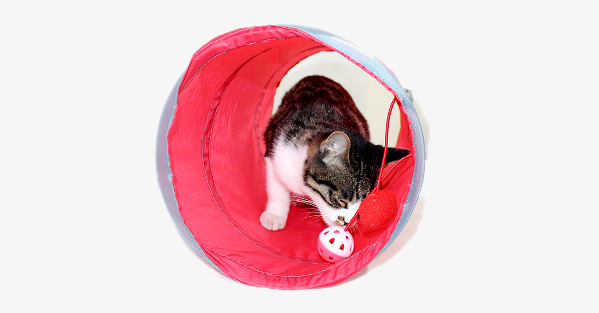 Foldable Polyester Pet Tunnel With Bell