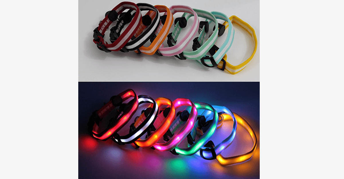 LED Dog Collar – Keep an Eye on Your Pet!