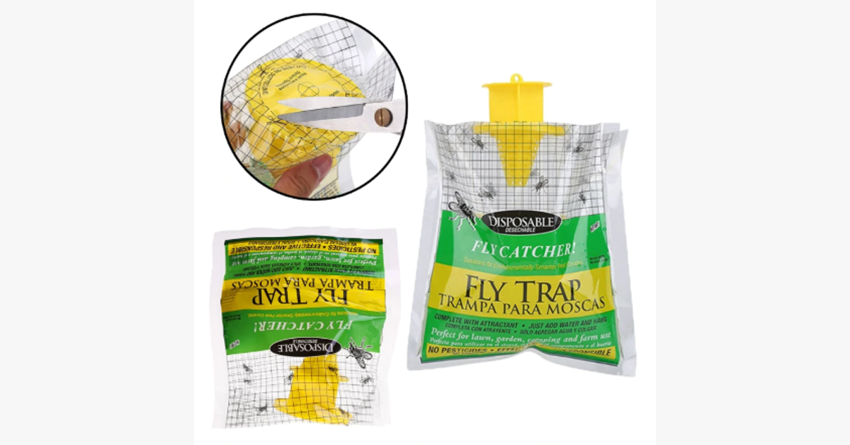 Flies Trap – Keep The Insects Away!