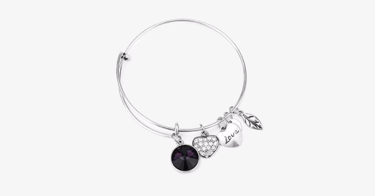 February Birthstone Charm Bangle