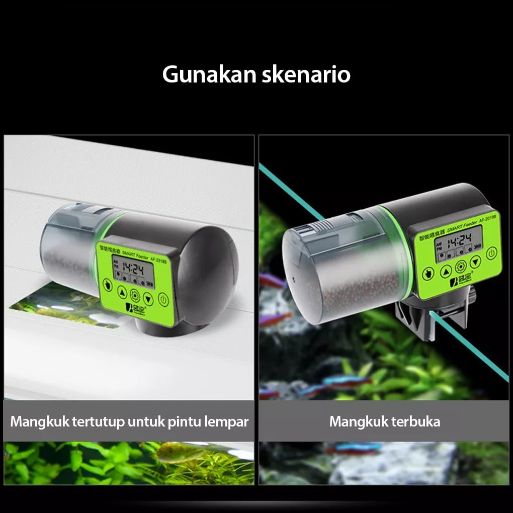 Smart Automatic Fish Feeder