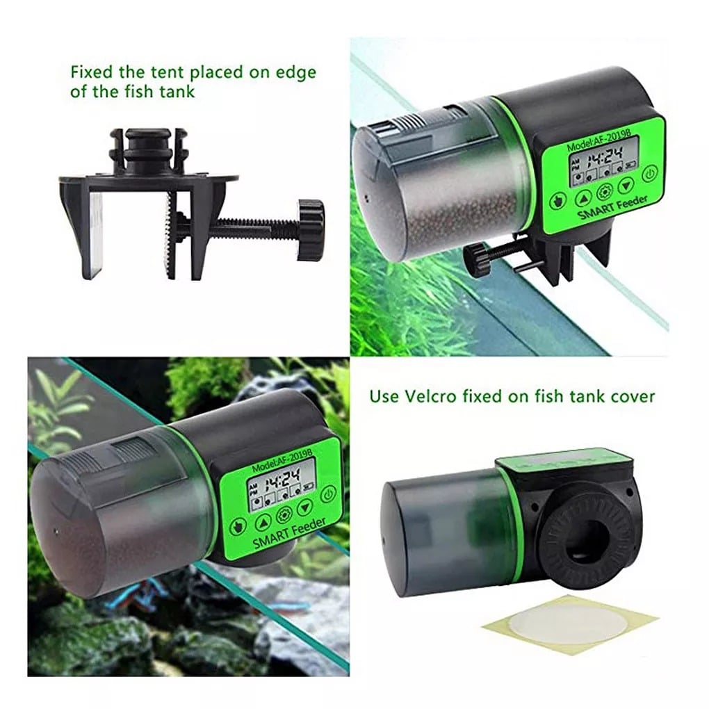 Smart Automatic Fish Feeder