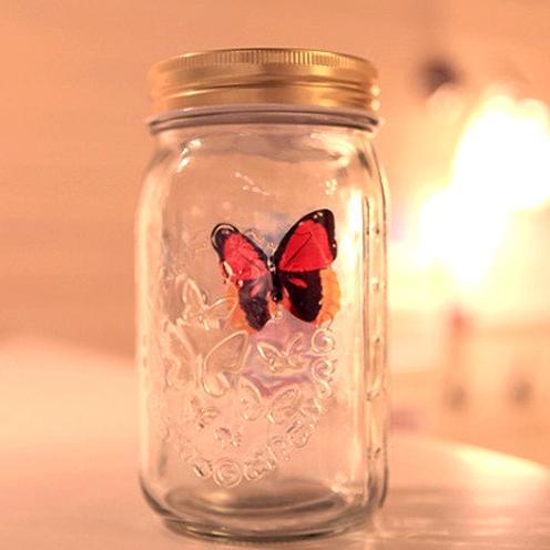 Magic Butterfly Jar
