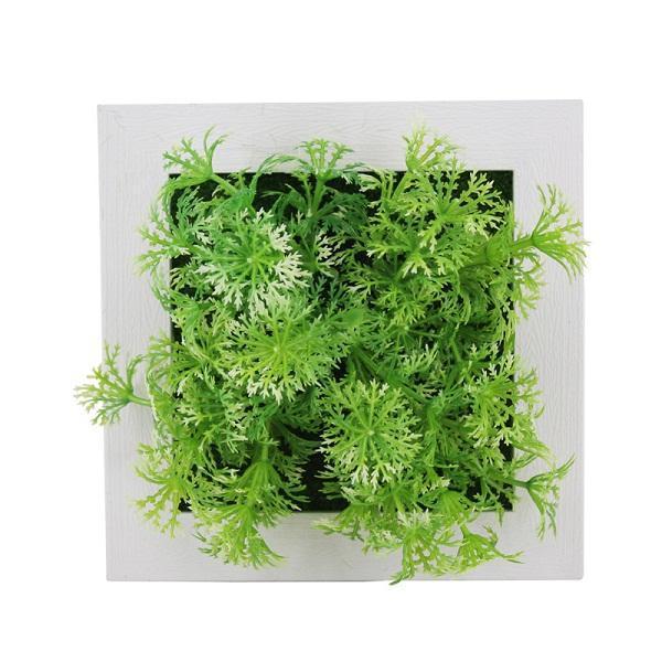 Succulent Wall Hanger Frame