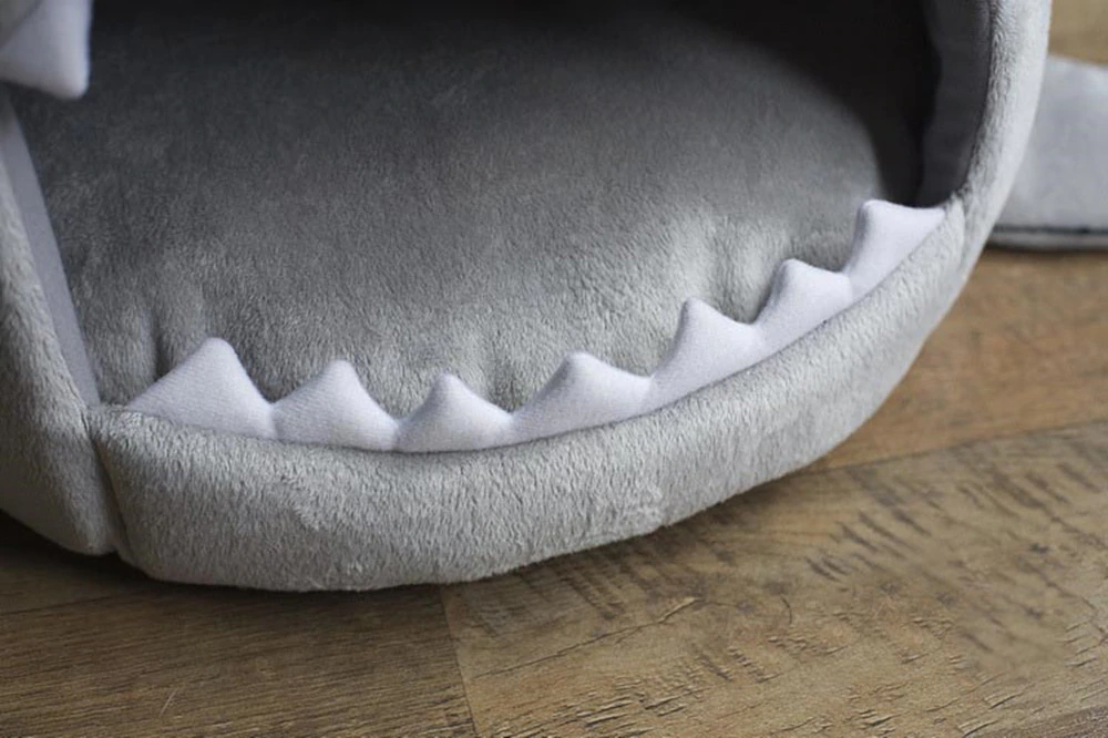 Shark Pet Bed