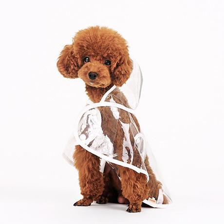 Transparent Dog Raincoat