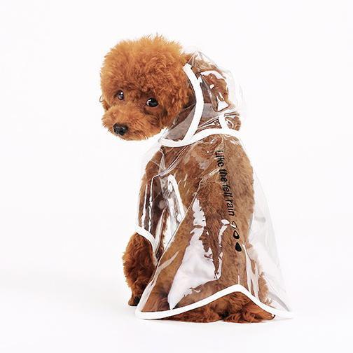 Transparent Dog Raincoat