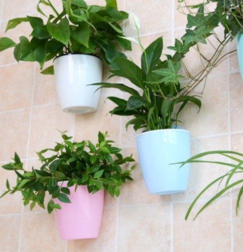 Self Watering Hanging Basket
