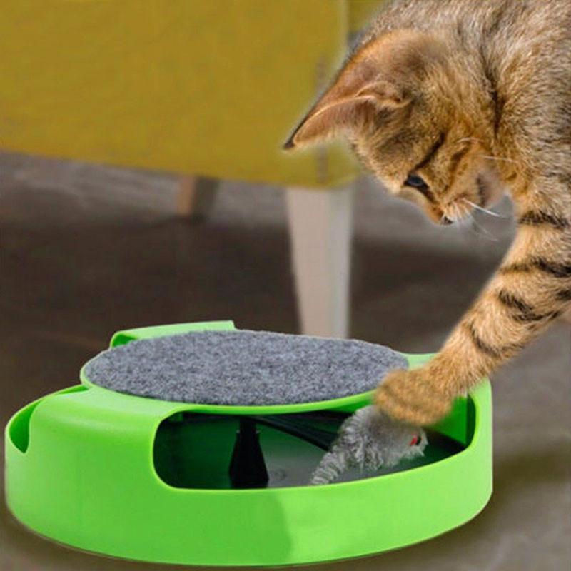 Cat Training Toy