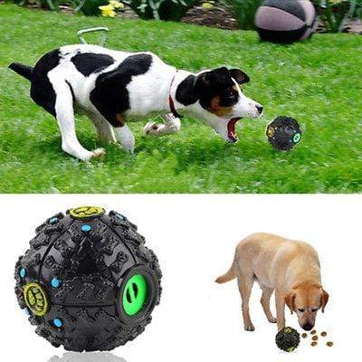 Squeaky Dog Ball