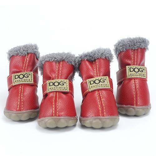 Dog Shoes for Winter