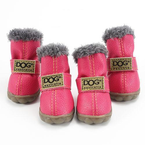 Dog Shoes for Winter