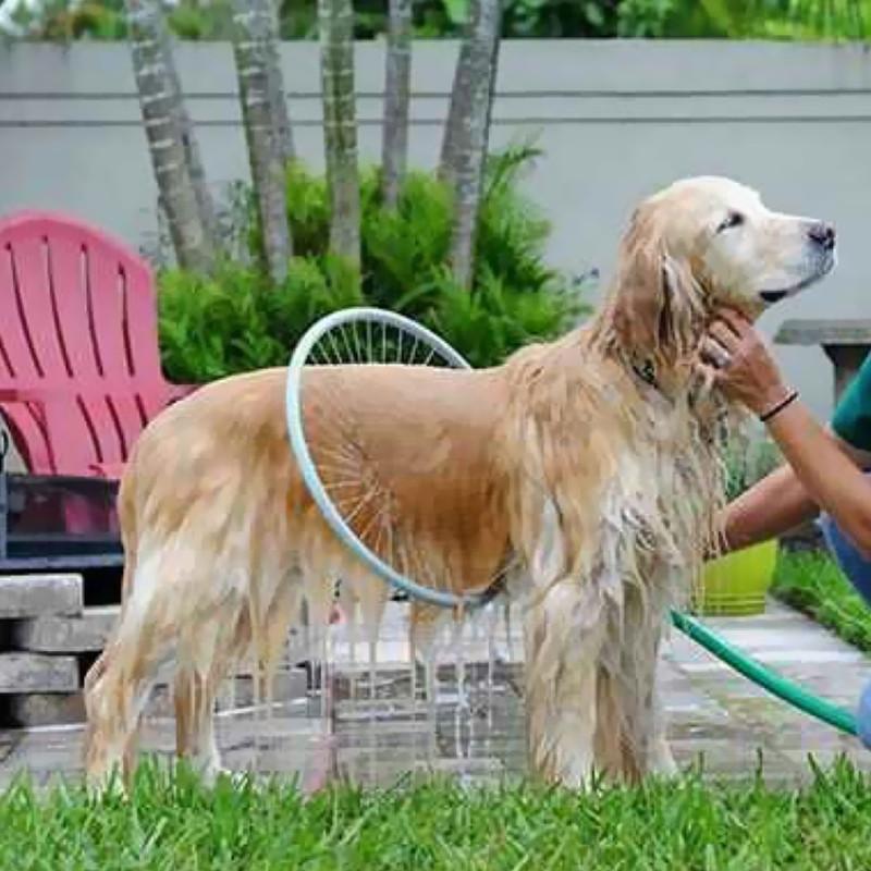 360 Dog Washer