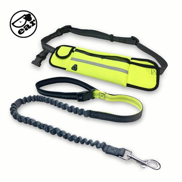 Multi Functional Waist Pouch Dog Leash