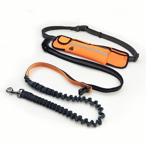 Multi Functional Waist Pouch Dog Leash