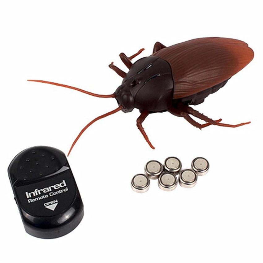 Remote Control Cockroach