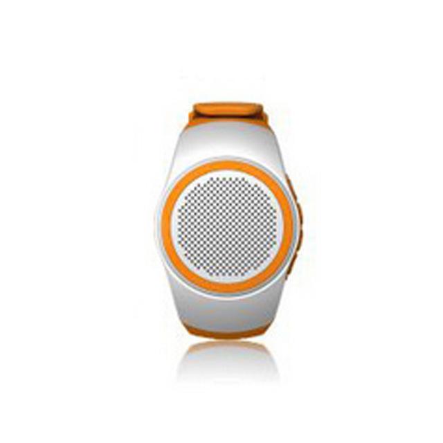 Wearable Music Watch