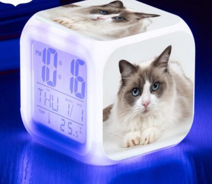 LED Cat Alarm Clock