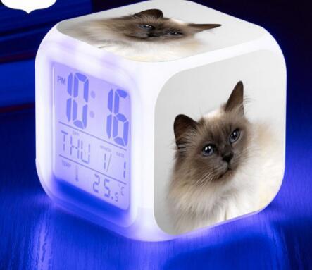 LED Cat Alarm Clock
