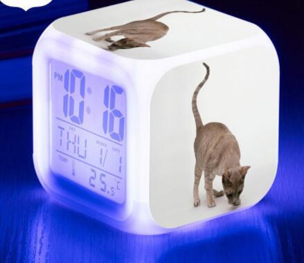 LED Cat Alarm Clock