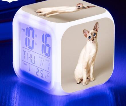 LED Cat Alarm Clock