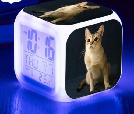 LED Cat Alarm Clock