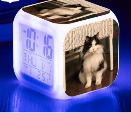 LED Cat Alarm Clock