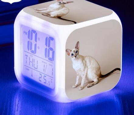 LED Cat Alarm Clock