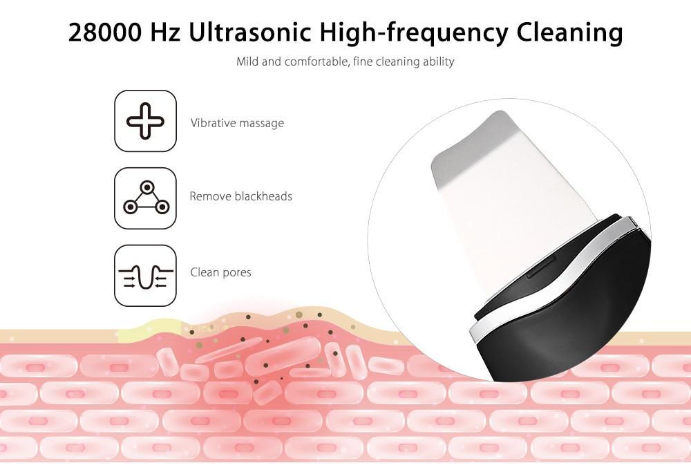 Ultrasonic Ion Skin Scrubber