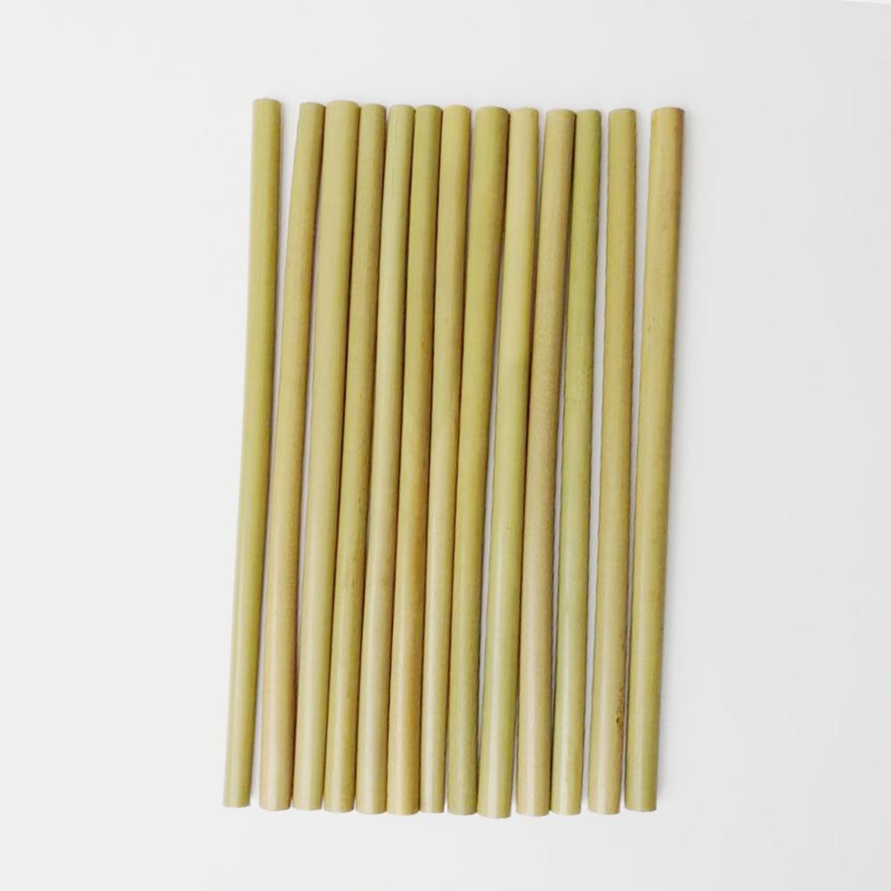 Bamboo Drinking Straws (10 pack) - Reusable & Eco-Friendly