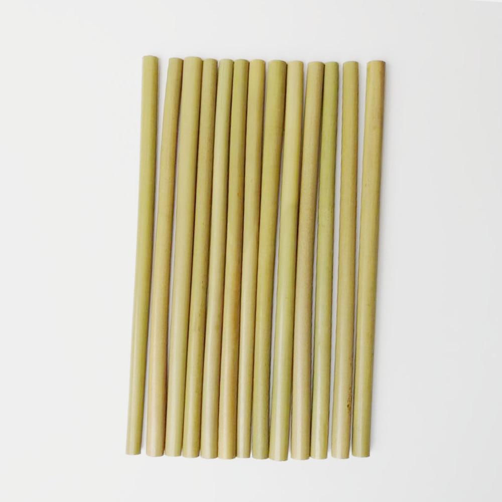 Bamboo Drinking Straws (10 pack) - Reusable & Eco-Friendly